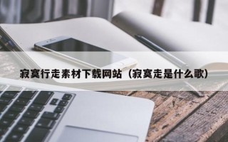 阳春寂寞行走素材下载网站（寂寞走是什么歌）